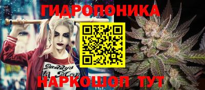 mdma Гусев