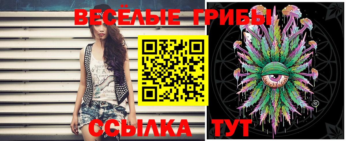 Псилоцибиновые грибы прущие грибы Нововоронеж