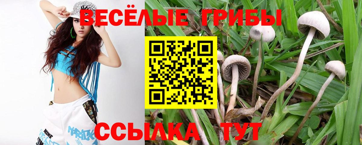 Нововоронеж  Галлюциногенные грибы GOLDEN TEACHER  Вход с VPN 
